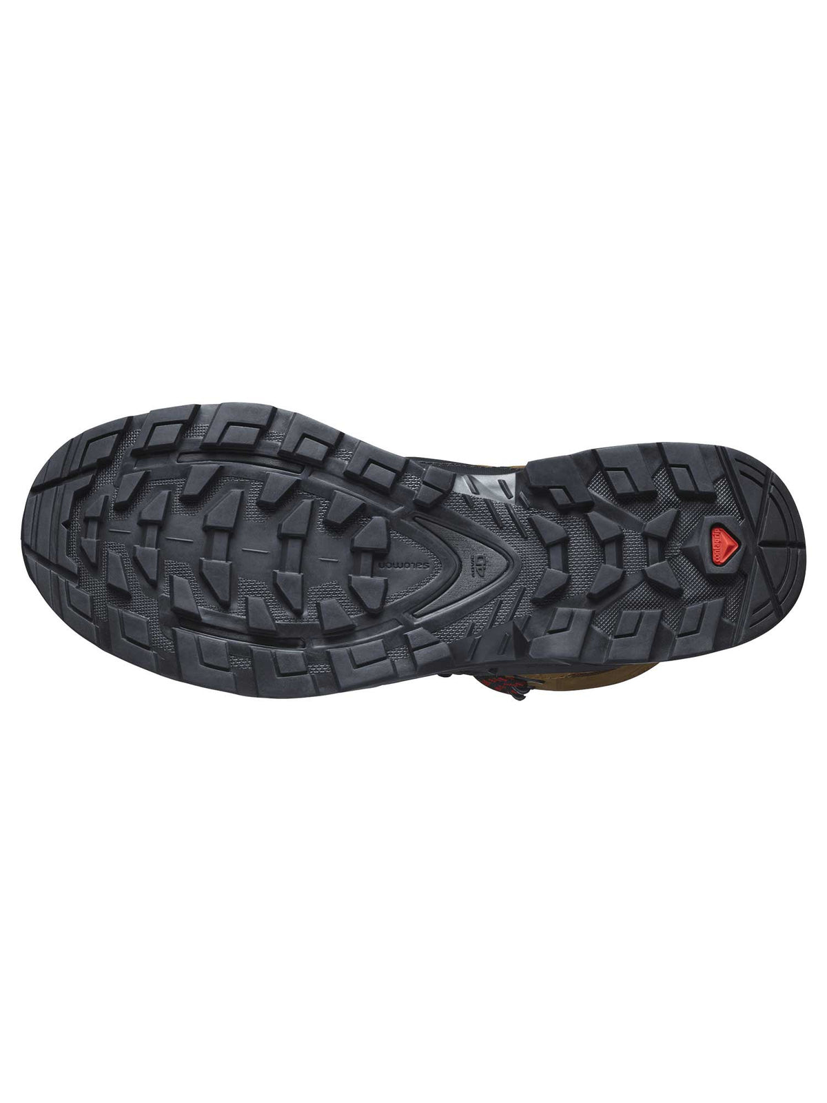 SALOMON Обувки QUEST 4 GTX